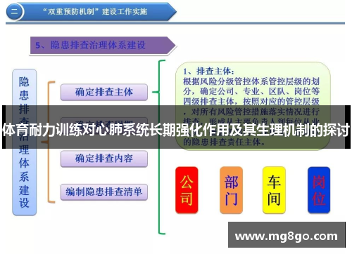 体育耐力训练对心肺系统长期强化作用及其生理机制的探讨