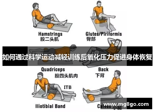 如何通过科学运动减轻训练后氧化压力促进身体恢复